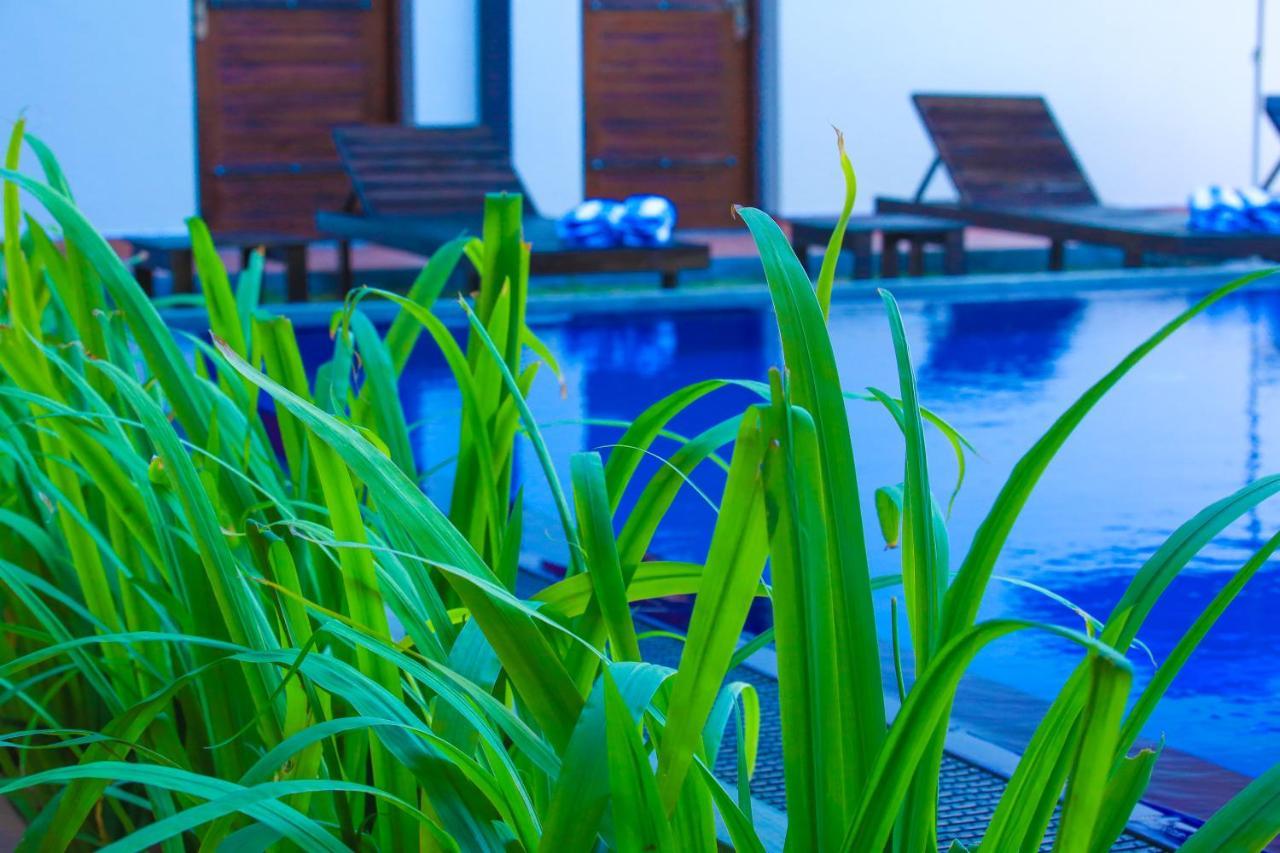Ali Weta Safari Resort Udawalawe Eksteriør bilde